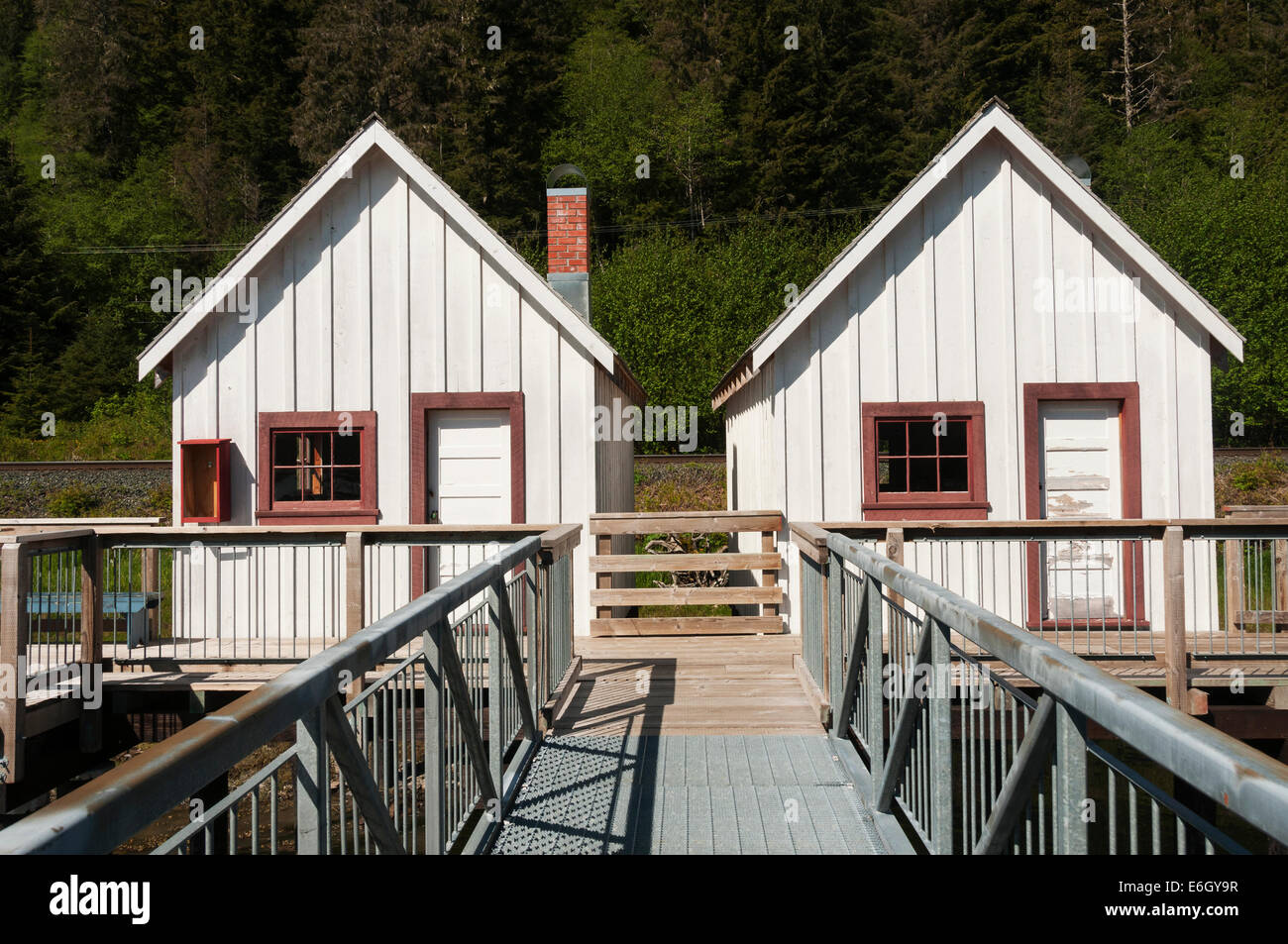 Elk2034279 Canada, British Columbia, Port Edward, North Pacific