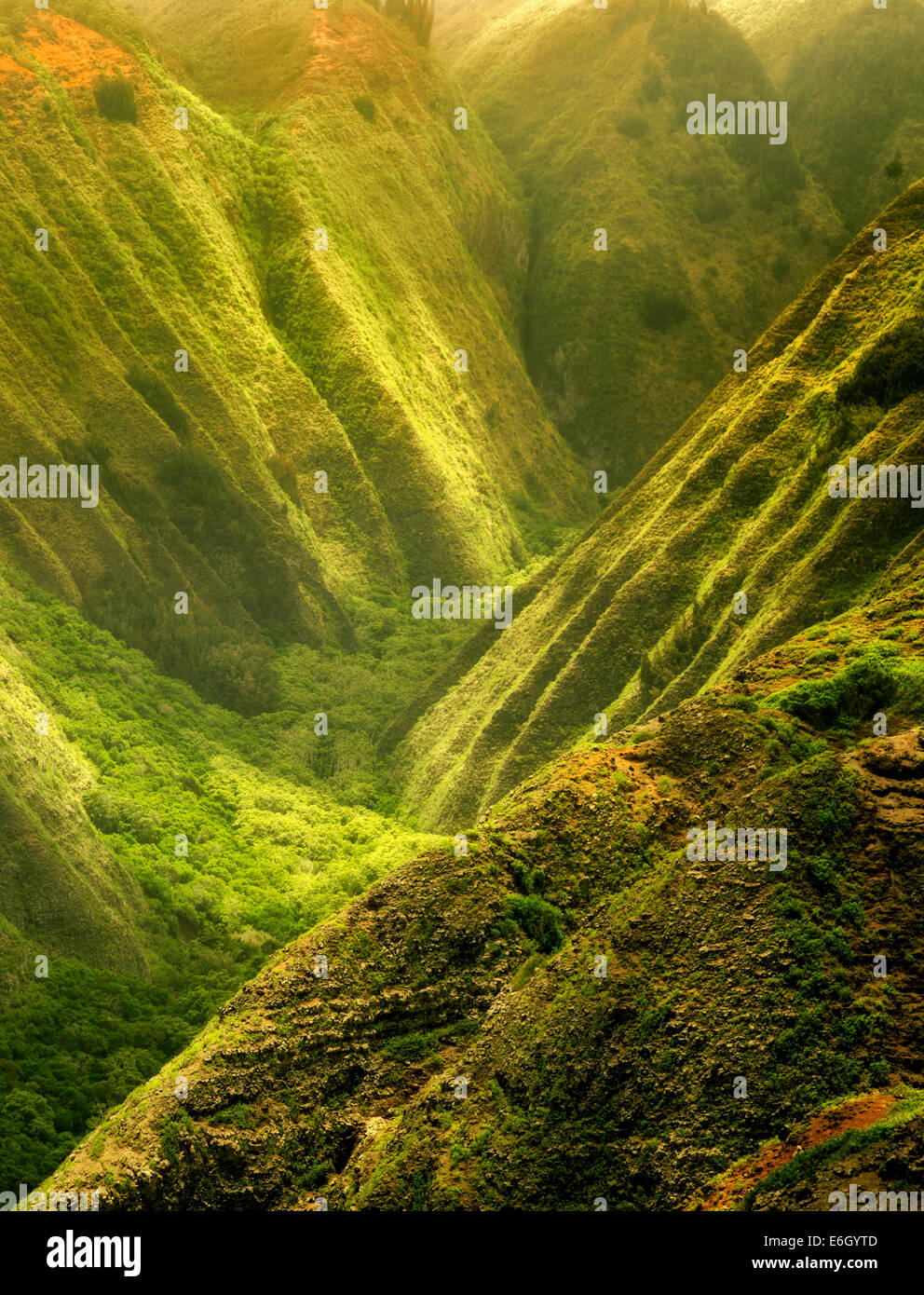 Maunalei Valley with dappled light. Lanai, Hawaii. Stock Photo