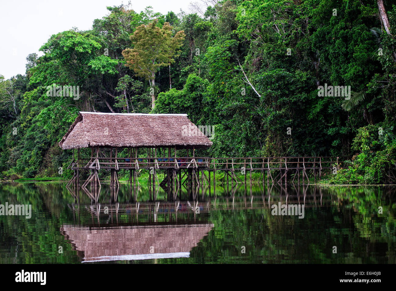 A boat dock on Manu lake in the Peruvian Amazon Stock Photo