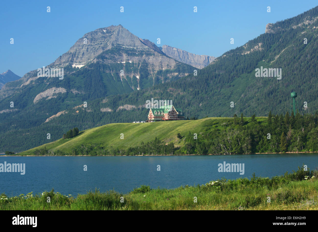 Lustige Schild Warnung vor aggressiven Hirsch in Waterton Lakes  Nationalpark, Alberta, Kanada Stockfotografie - Alamy