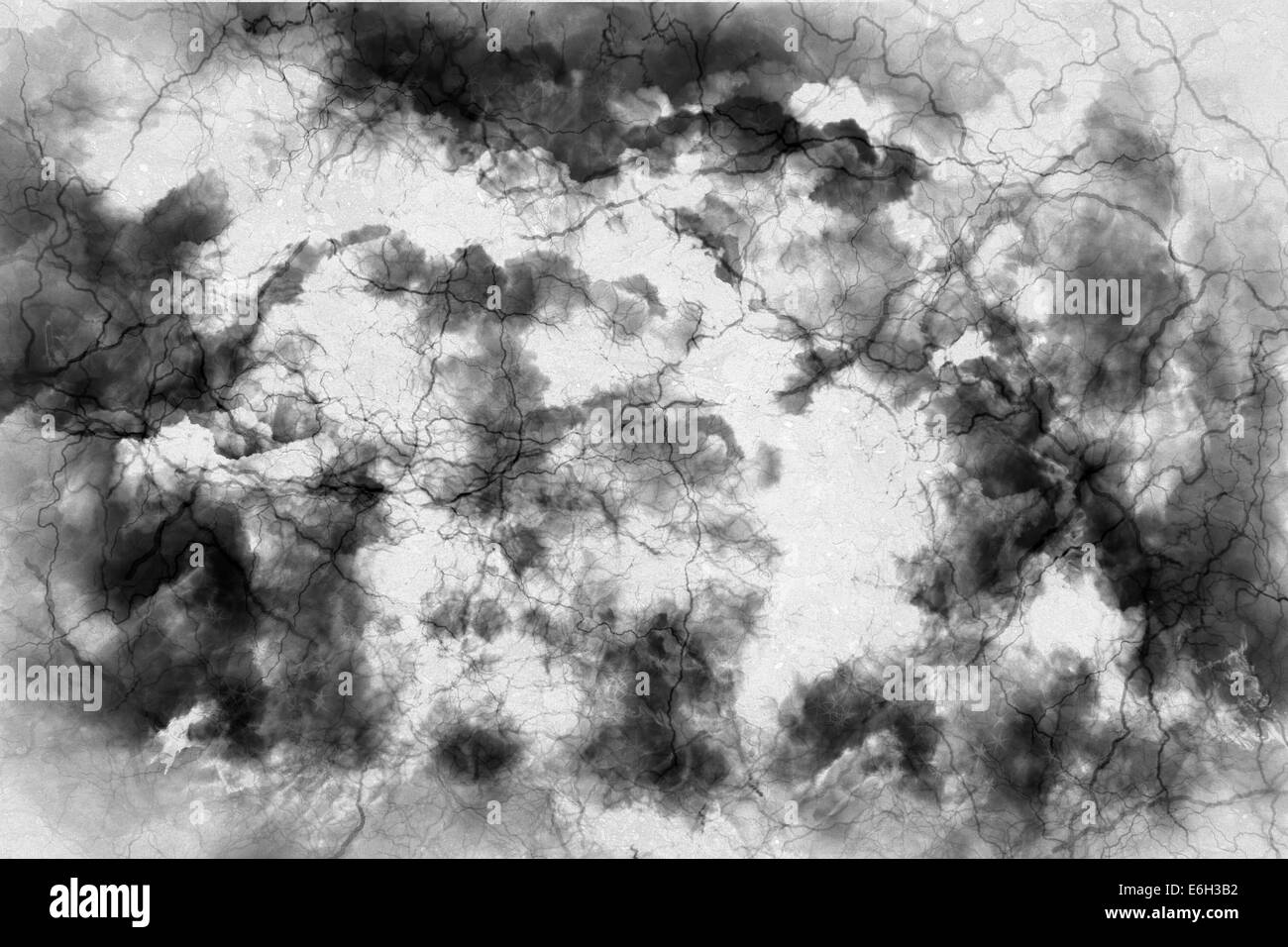 Abstract design of white with a black cloud with lines like veins Stock