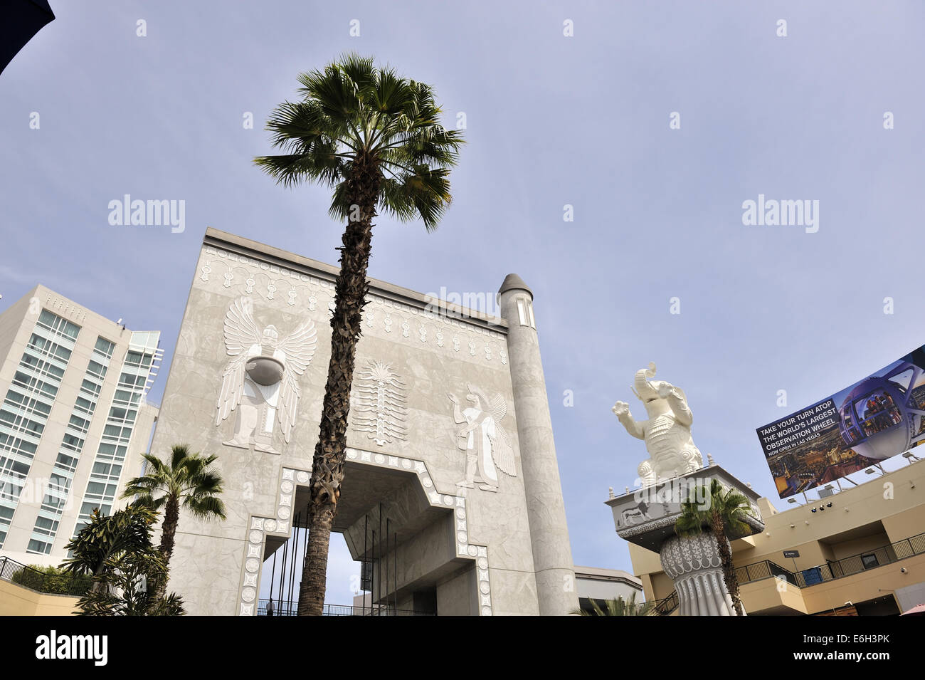 Palm tree, Hollywood and Highland Center, Hollywood, Los Angeles, California, USA Stock Photo