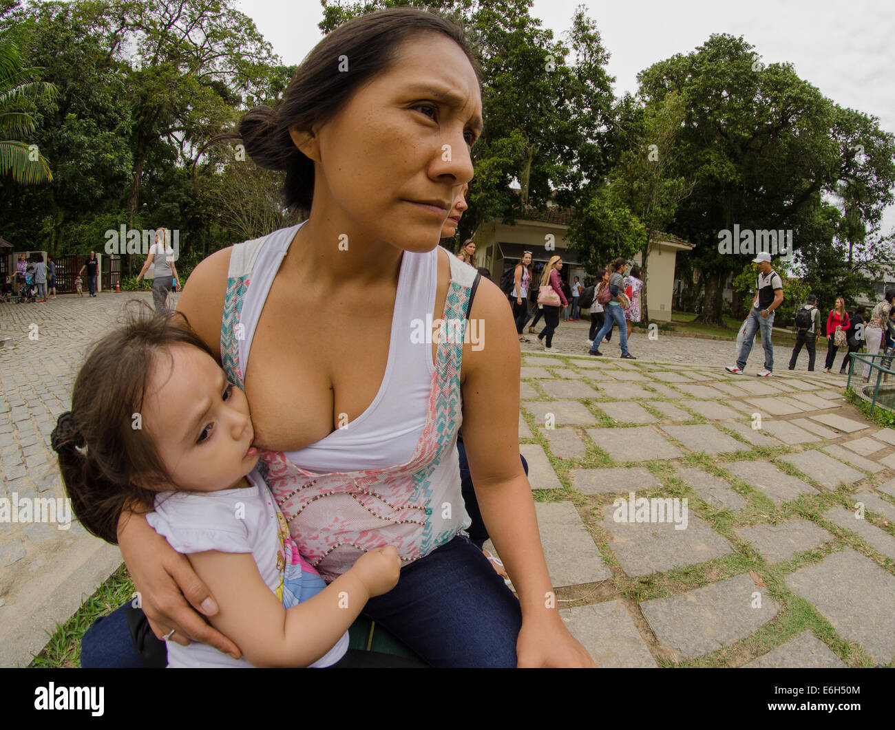 tits public Breast--feeding in public park (model releases available for mother and  toddler Stock Photo - Alamy