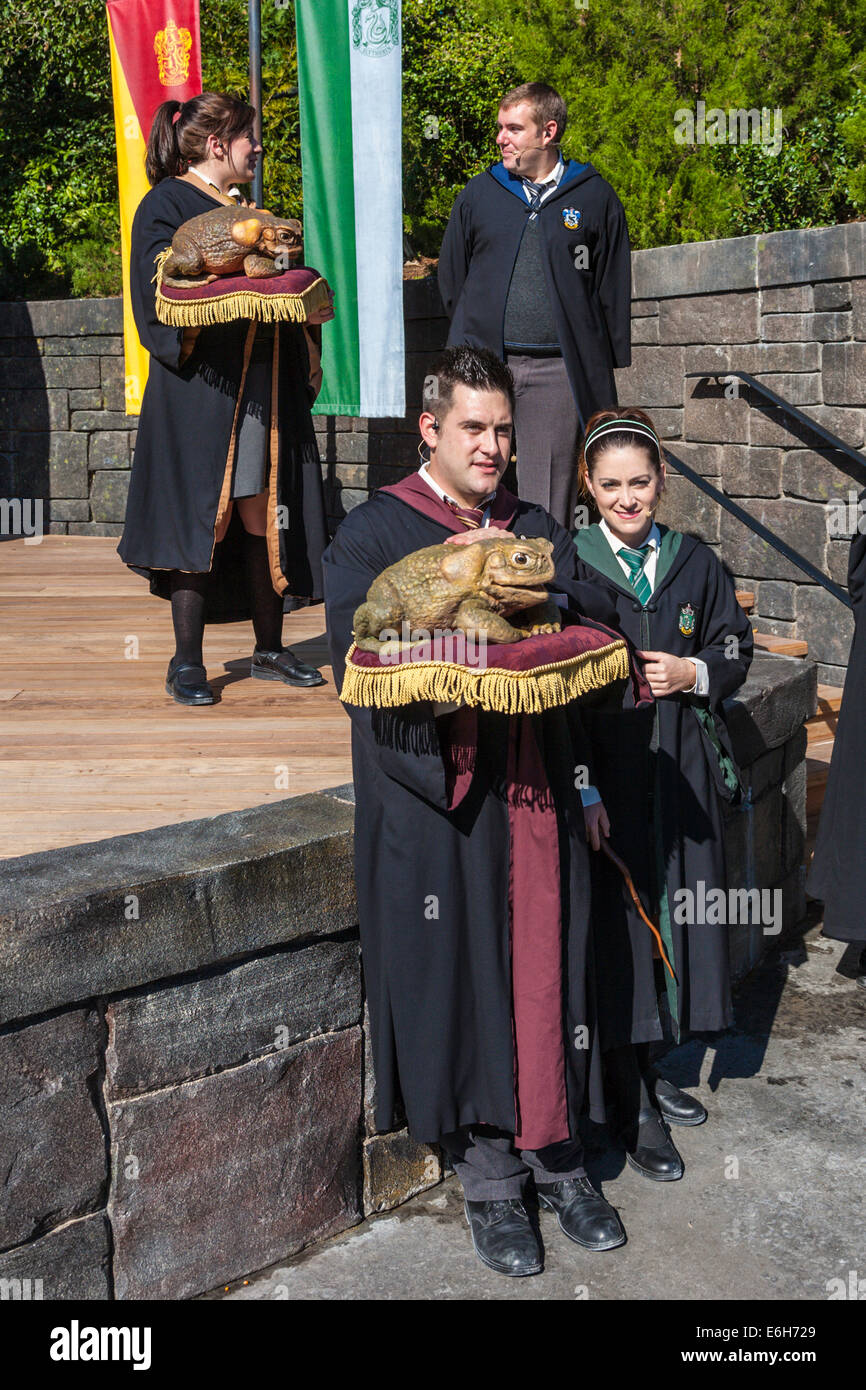 Actors in costume with talking toad frog in The Wizzarding World of Harry  Potter at Universal Studios, Orlando, Florida Stock Photo - Alamy