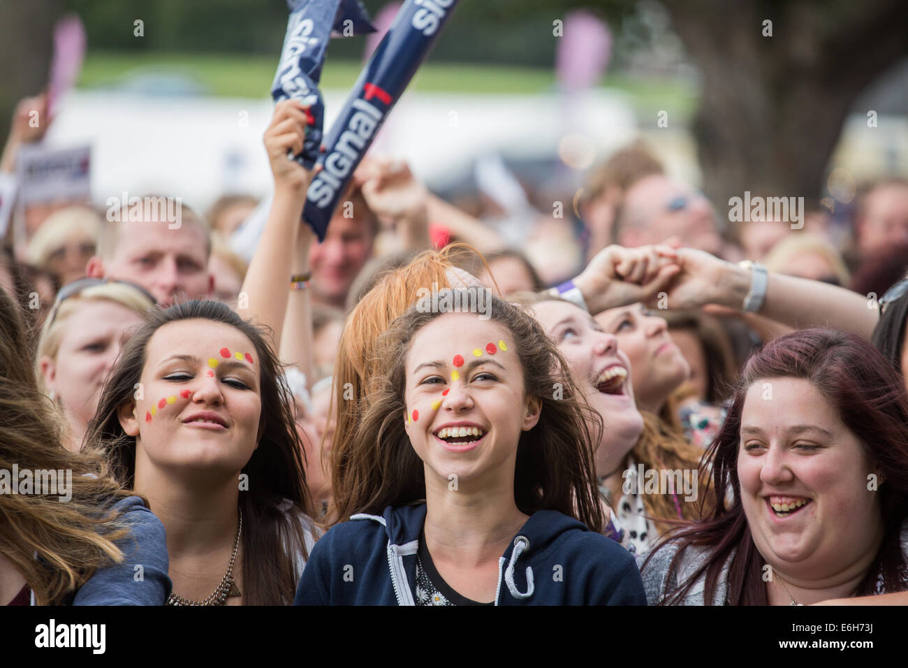 Fans at Total Access Live 2014 at Junction 16 Festival at Betley Court Farm, Cheshire Stock Photo