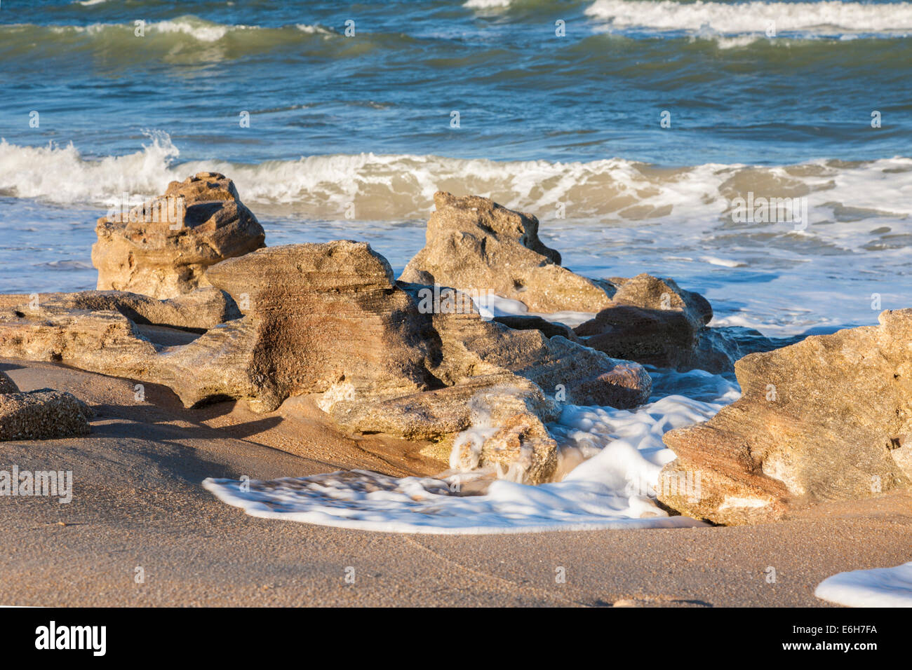 Coquina rock formations along coast of Atlantic Ocean at Washington