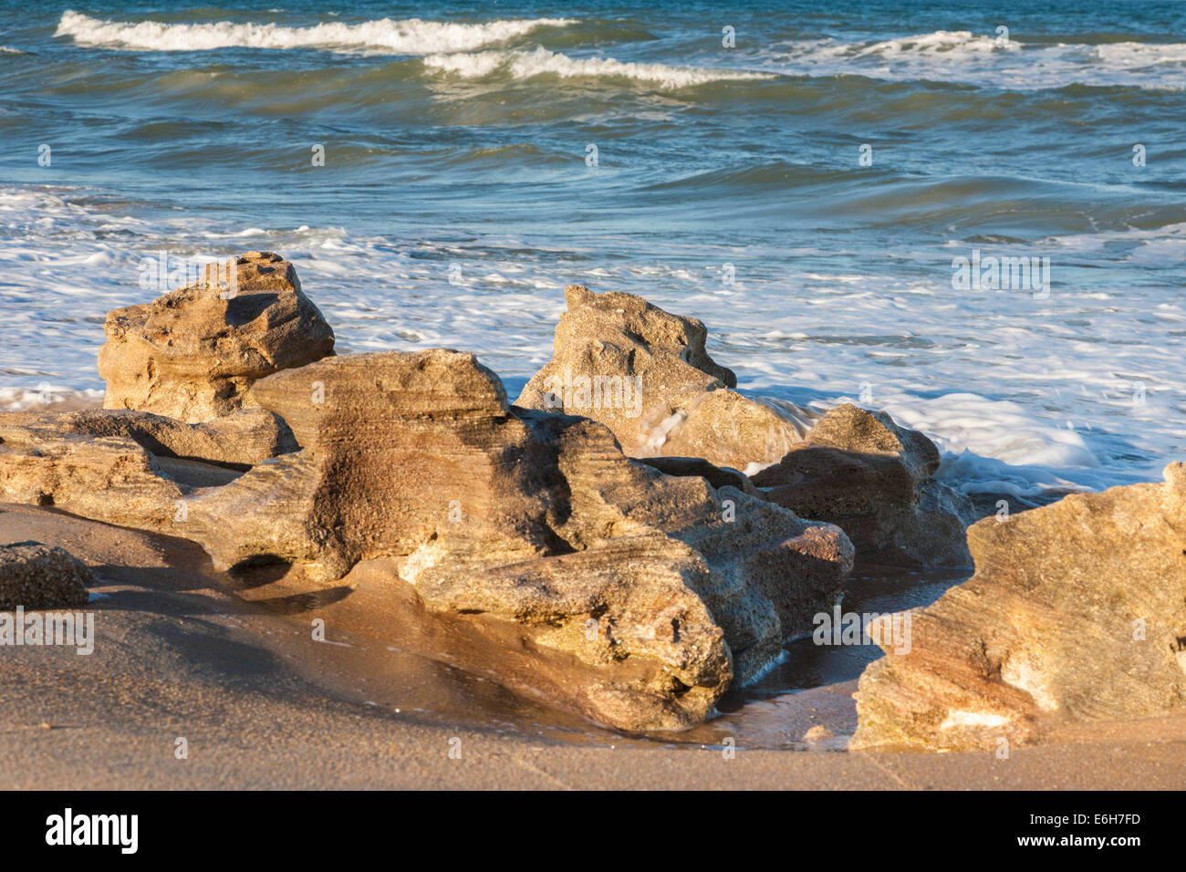 Coquina rock formations along coast of Atlantic Ocean at Washington
