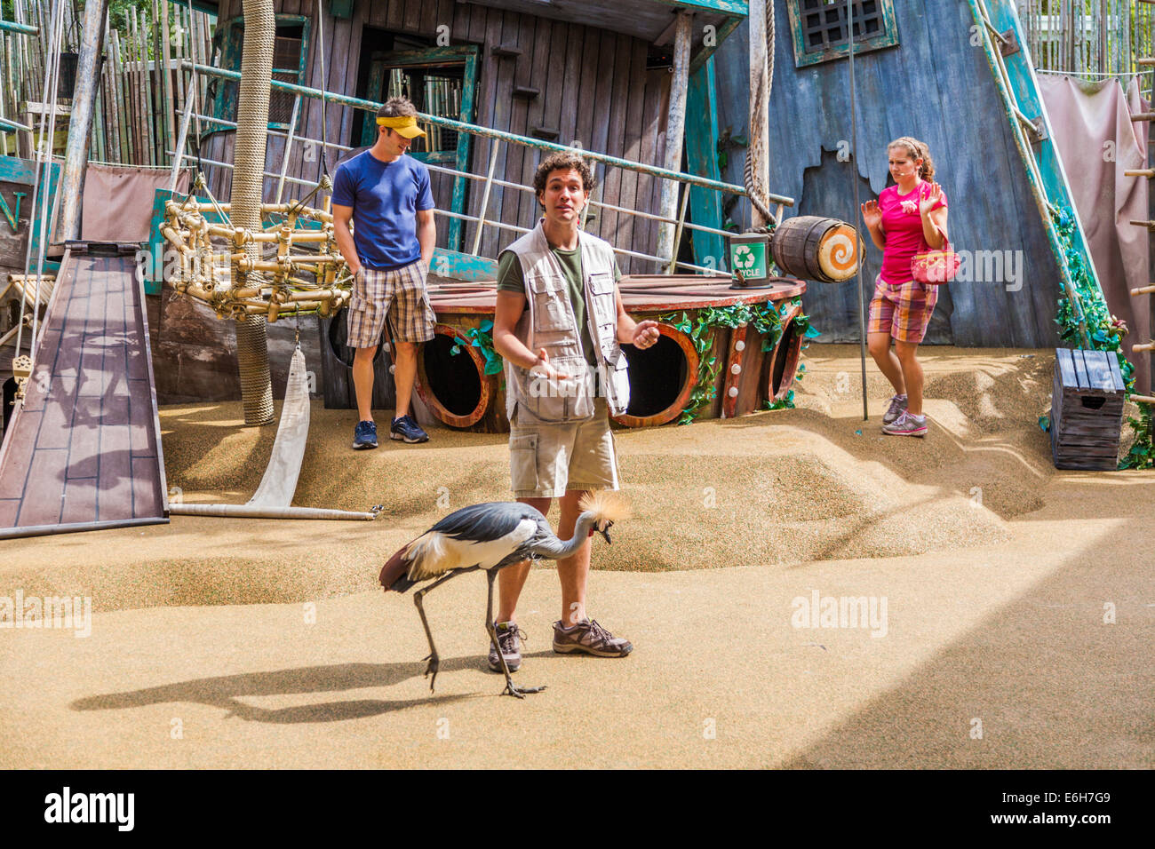Animal trainers performing with African Crowned Crane during show at