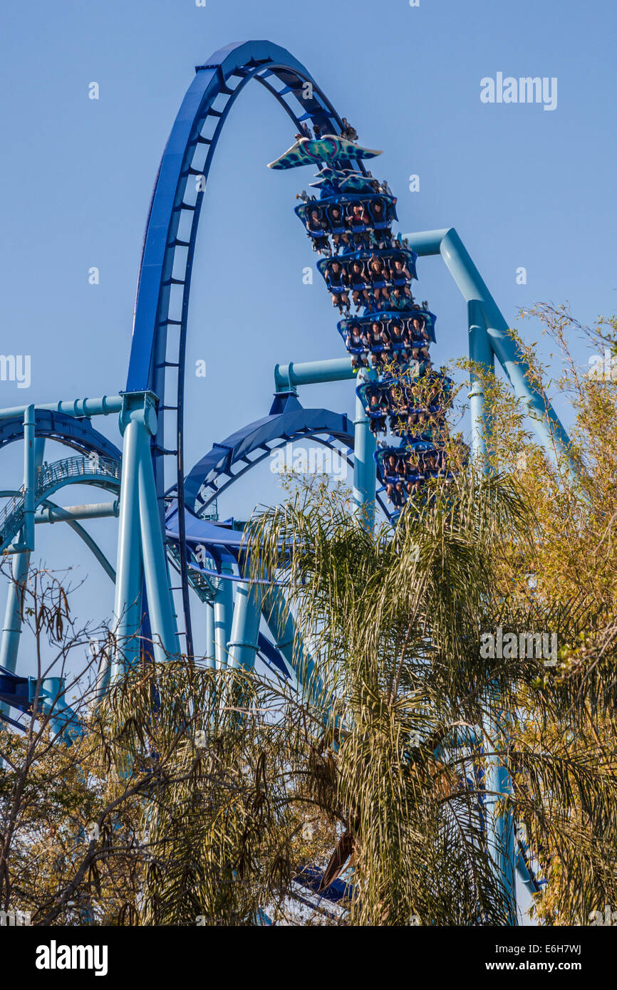 Manta, SeaWorld Orlando