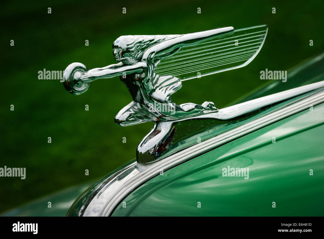 The 'Goddess of Speed' silver hood ornament on the hood of a kelly green Packard automobile. Stock Photo