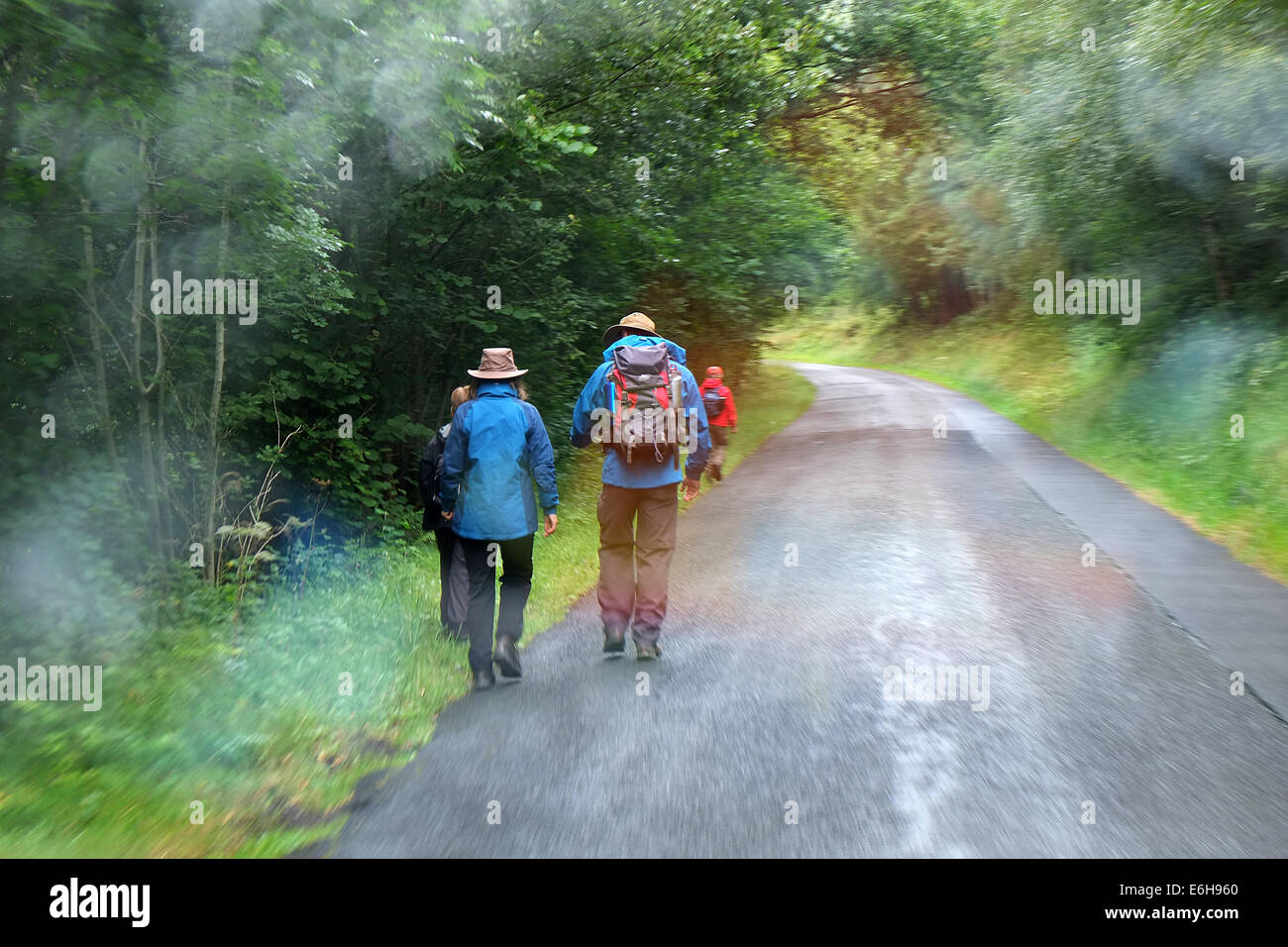 Group of people in wet weather clothes and rain walking in woodland. Stock Photo