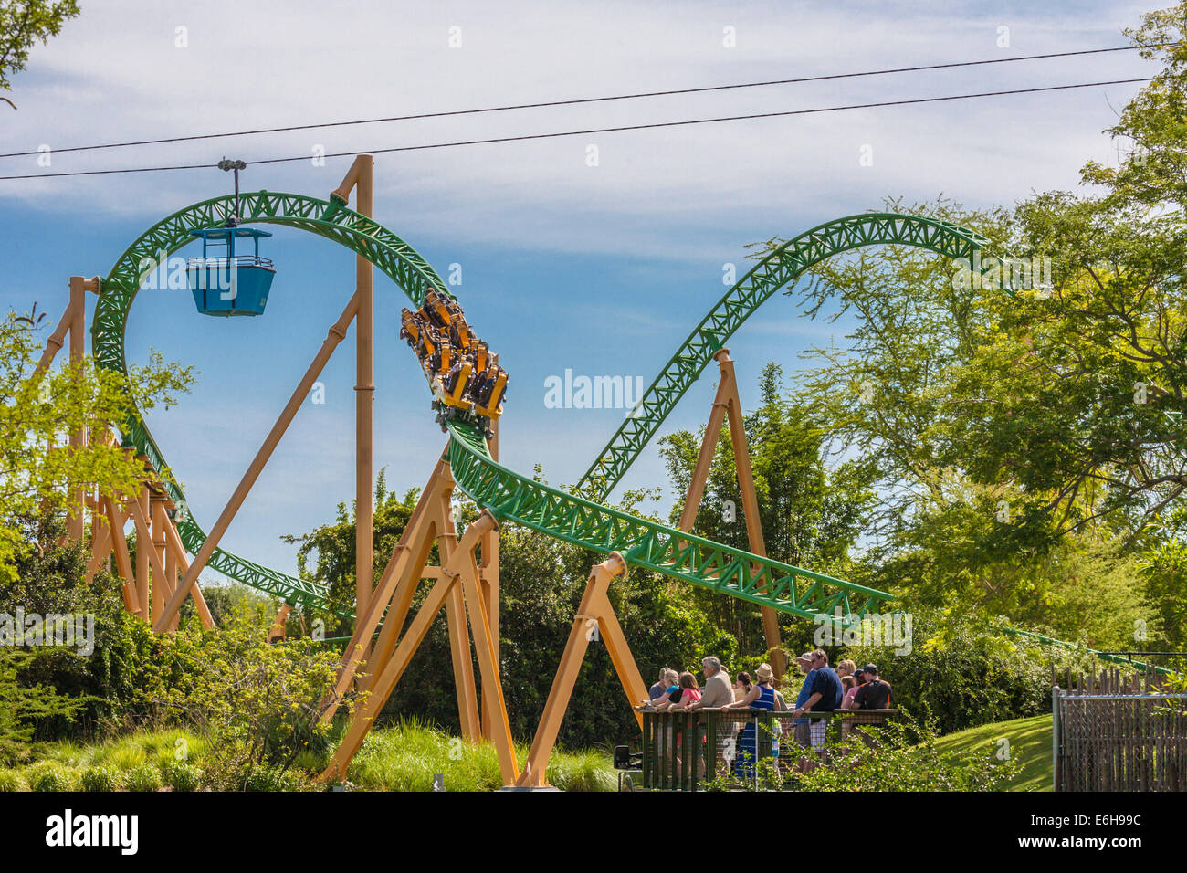 Park Guests Riding Cheetah Hunt Roller Coaster At Busch Gardens