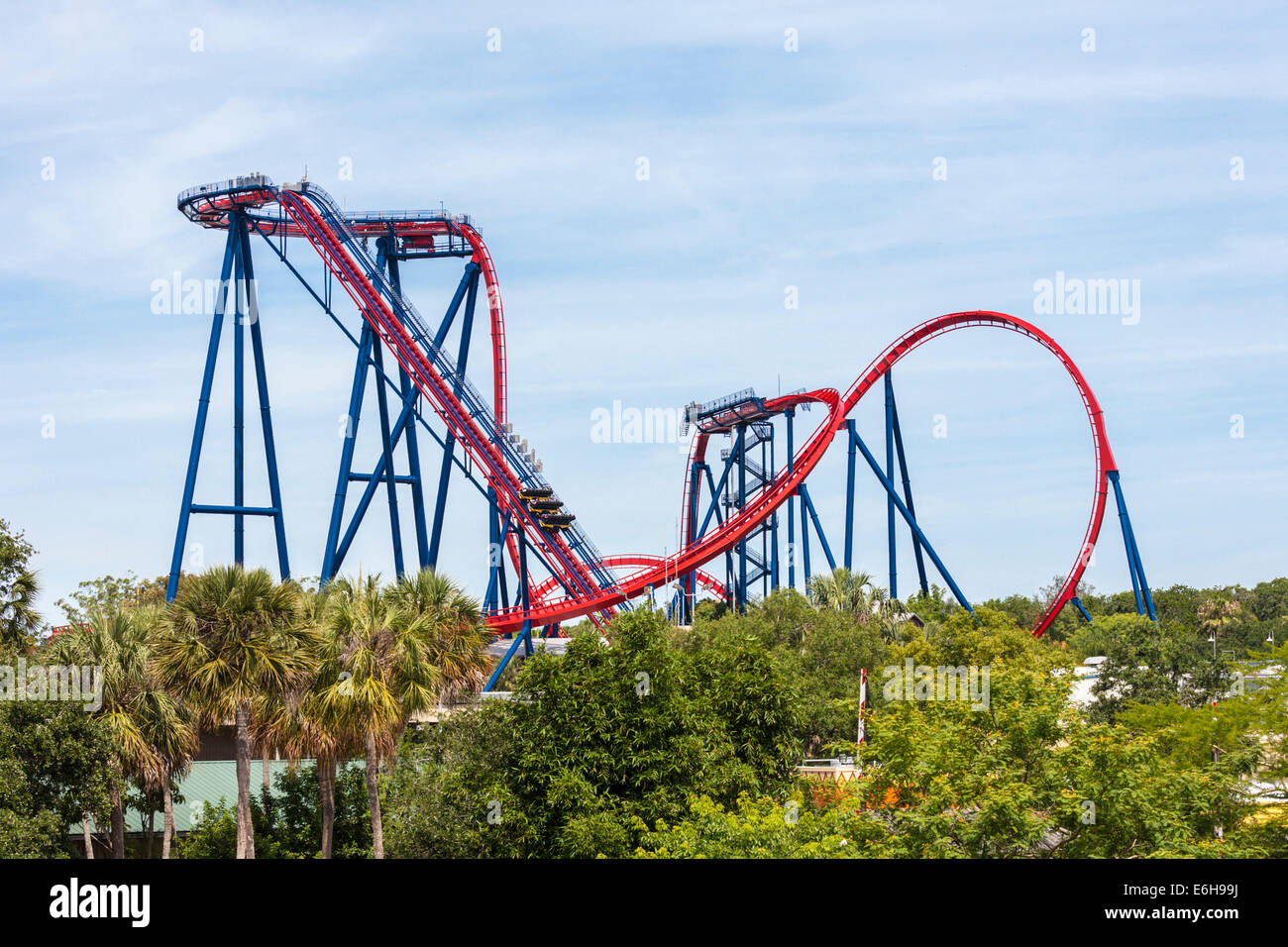 SheiKra roller coaster at Busch Gardens theme park in Tampa, Florida, USA  Stock Photo - Alamy