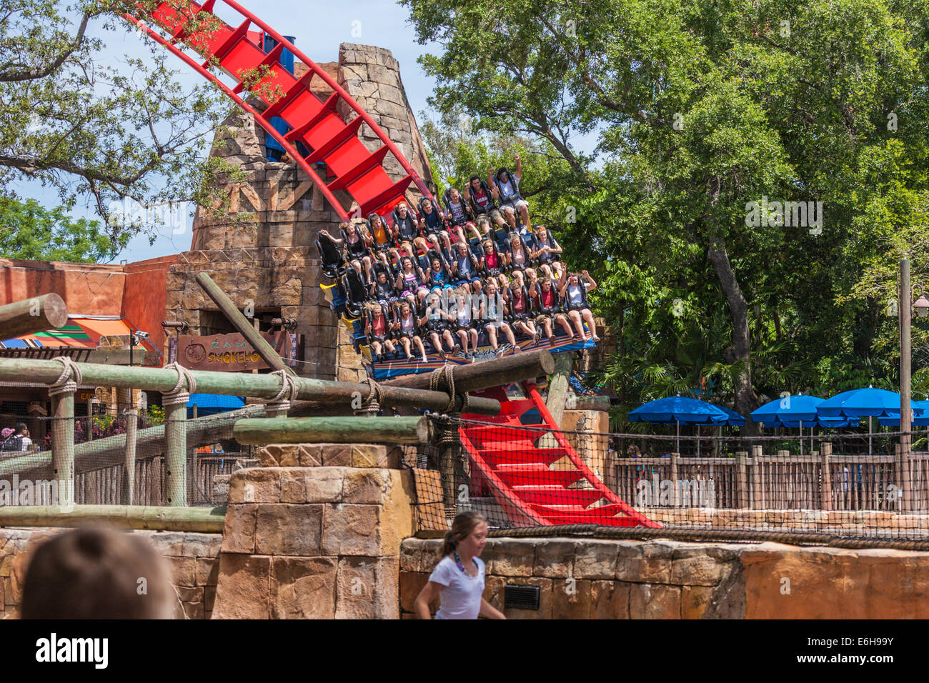 Busch gardens sheikra hi-res stock photography and images - Alamy