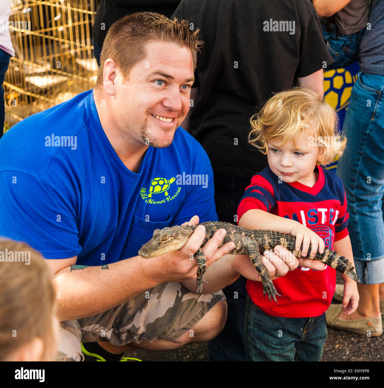 Young boy pets baby alligator being held by man representing Wild At Heart Rescue during a demonstration in Ocean Springs, MS Stock Photo