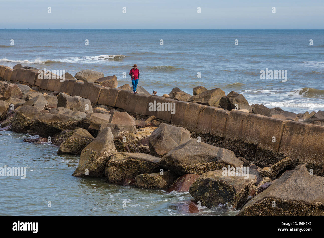 Are Dogs Allowed On Beach At Fort Clinch State Park