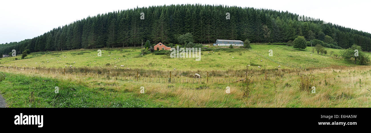 Panoramic view of farm and forest. Stock Photo