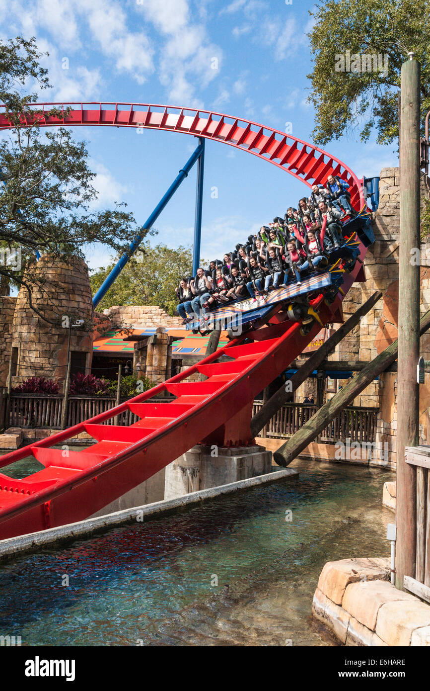 Park guests ride the SheiKra roller coaster at Busch Gardens theme park