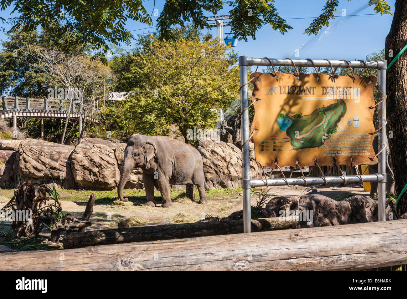 The elephant exhibit is part of the Rhino Rally attraction area of