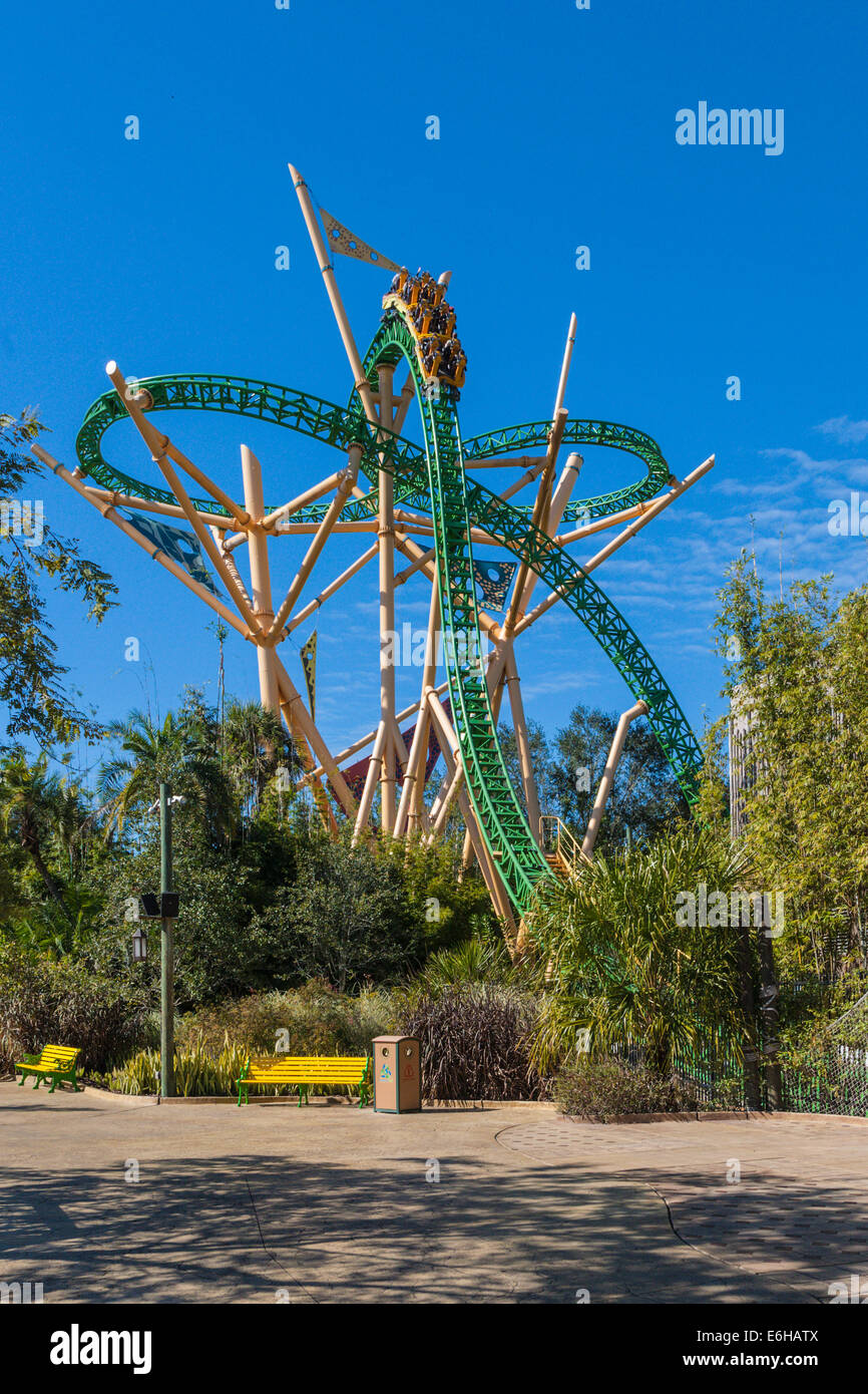 Park guests riding Cheetah Hunt roller coaster at Busch Gardens Tampa