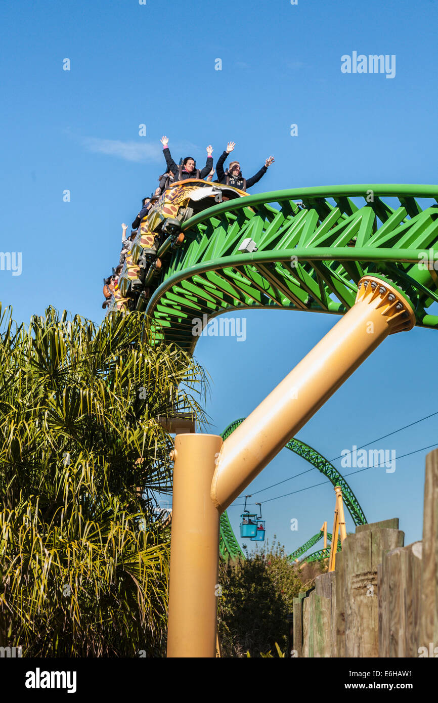 Park guests riding Cheetah Hunt roller coaster at Busch Gardens Tampa