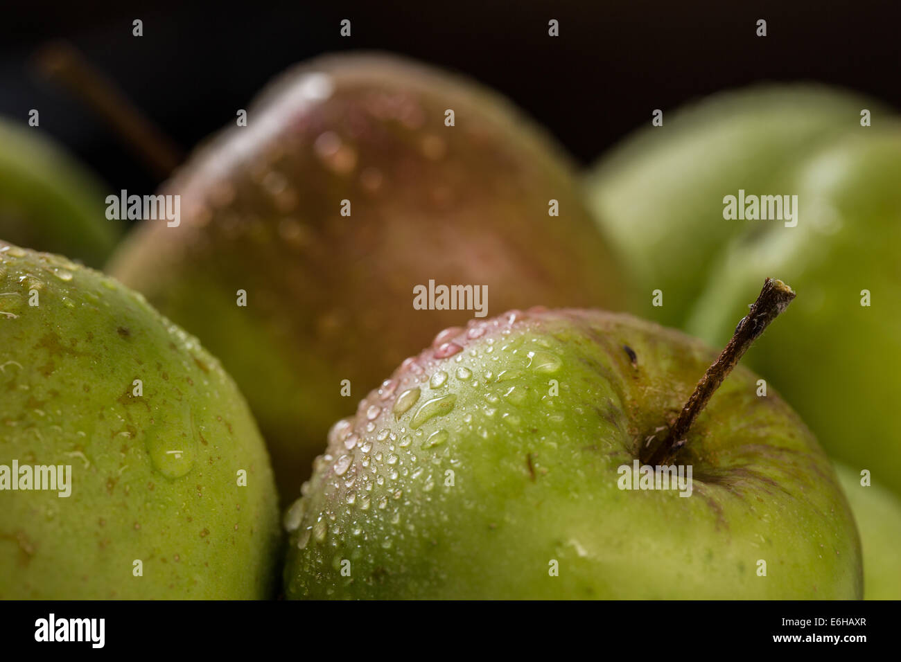 Green eating apples macro Stock Photo