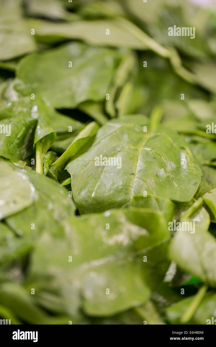 Spinach leaves close-up Stock Photo