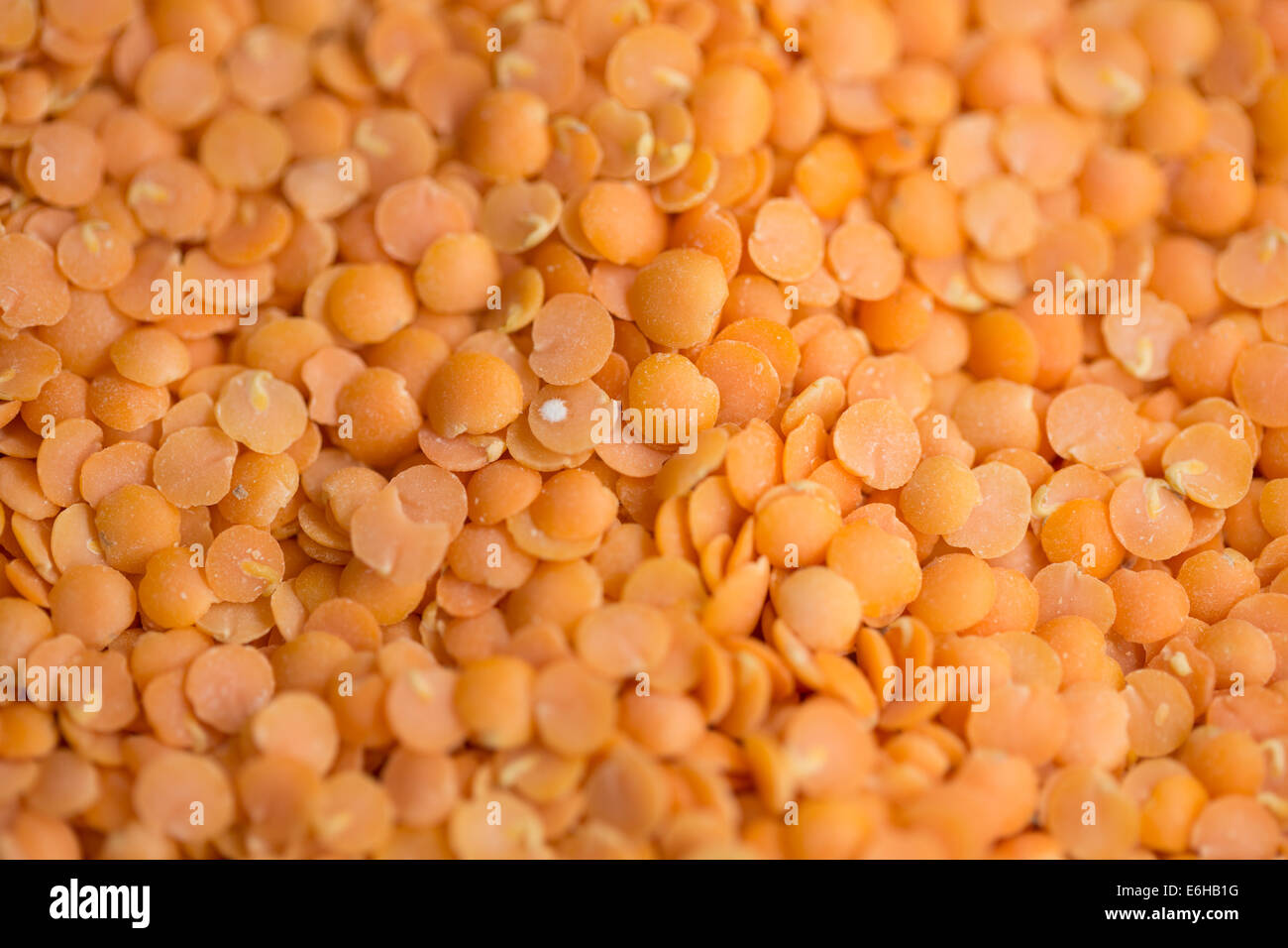 Split red lentils Stock Photo
