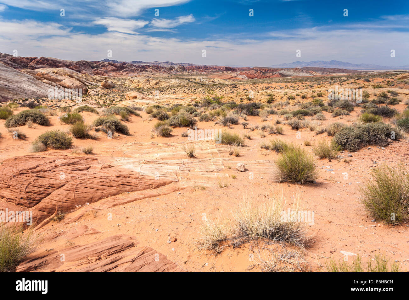 Rock formations and desert vegetation in Valley of Fire State Park near Overton, Nevada Stock Photo