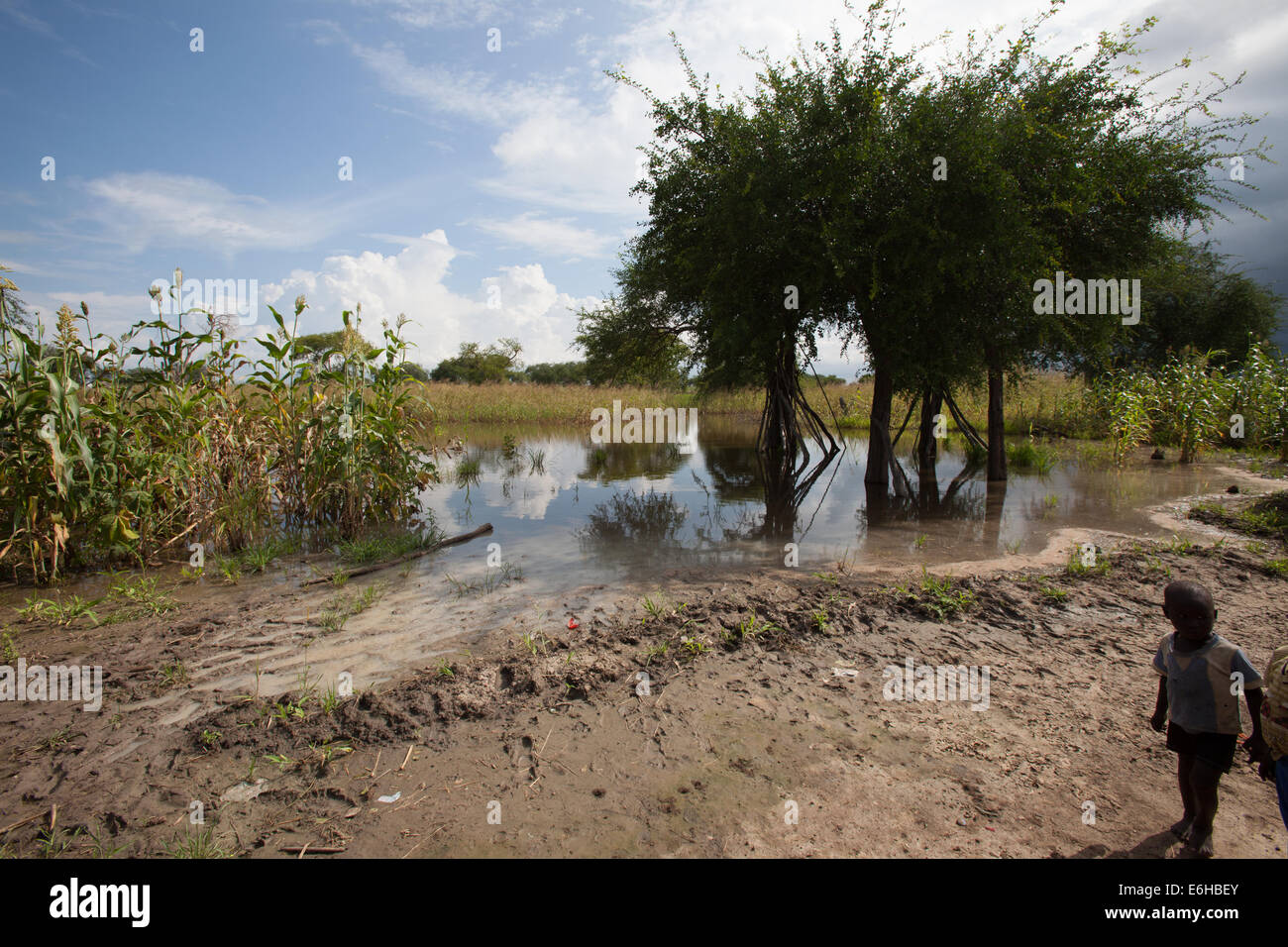 Agok Child surveys flooded famland at Abathok village near Agok, Abyei ...