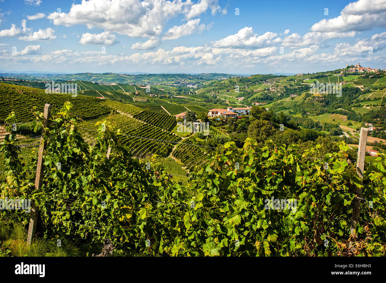 Italy Piedmont Langhe Santo stefano Belbo Stock Photo