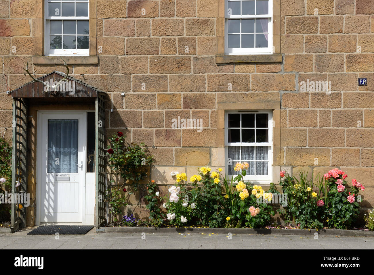 Small rose garden below sash window at front door of house in Dornoch's Castle Street. Stock Photo