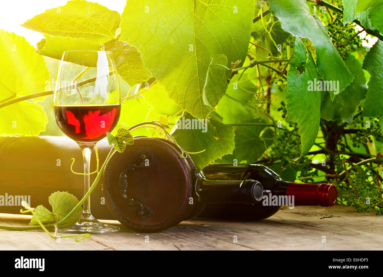 bottles and glass with red wine in vineyard Stock Photo - Alamy