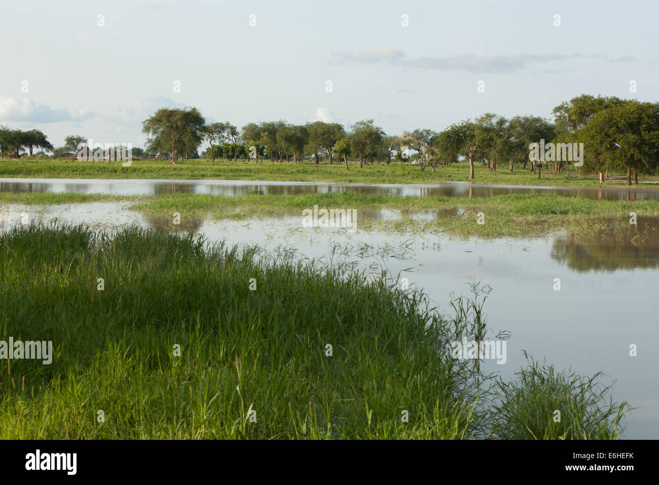 Agok Landscape scene of River Achok at Agok, Abyei province, Sudan / South ...
