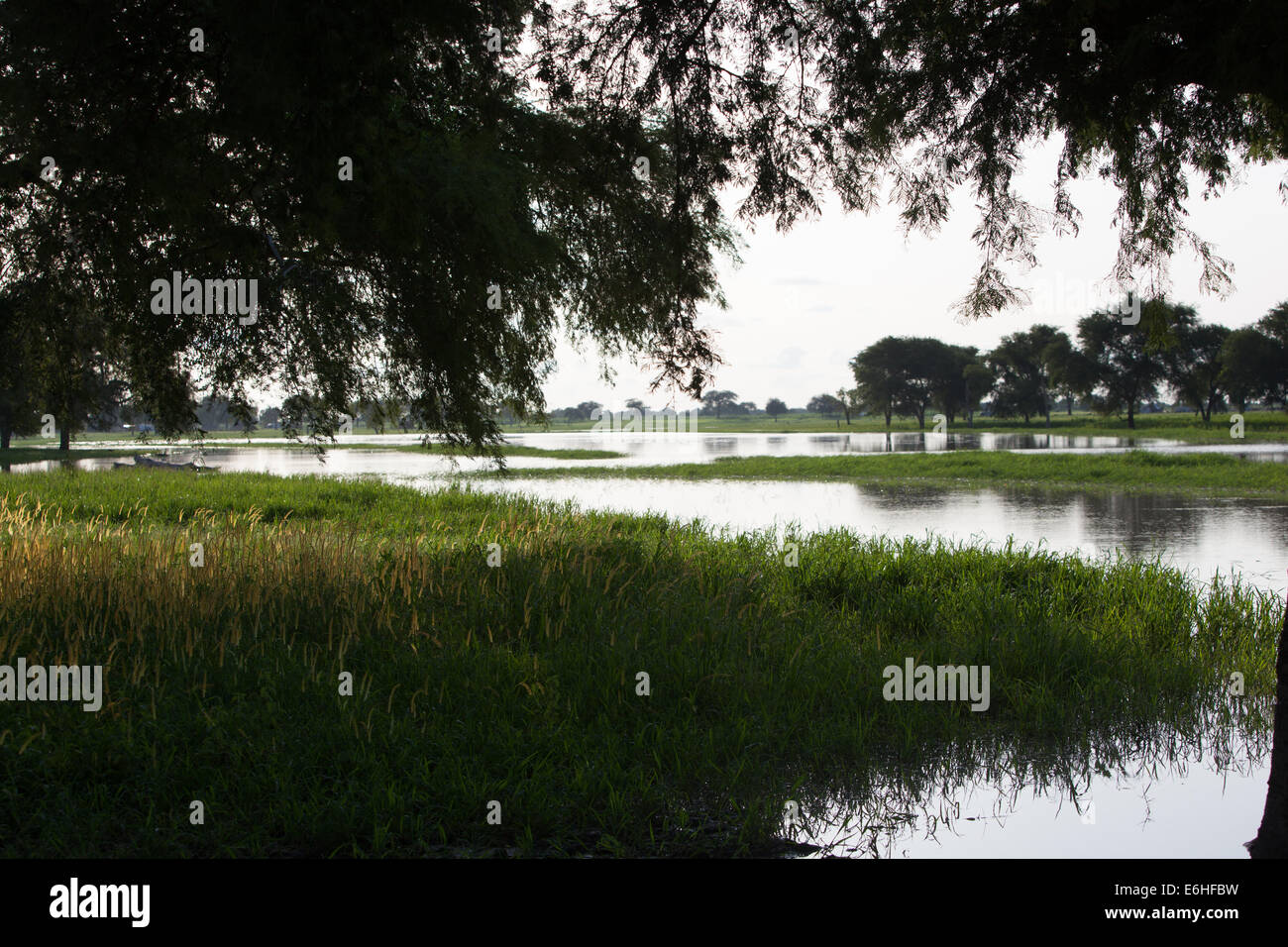 Agok Landscape scene of River Achok at Agok, Abyei province, Sudan / South ...