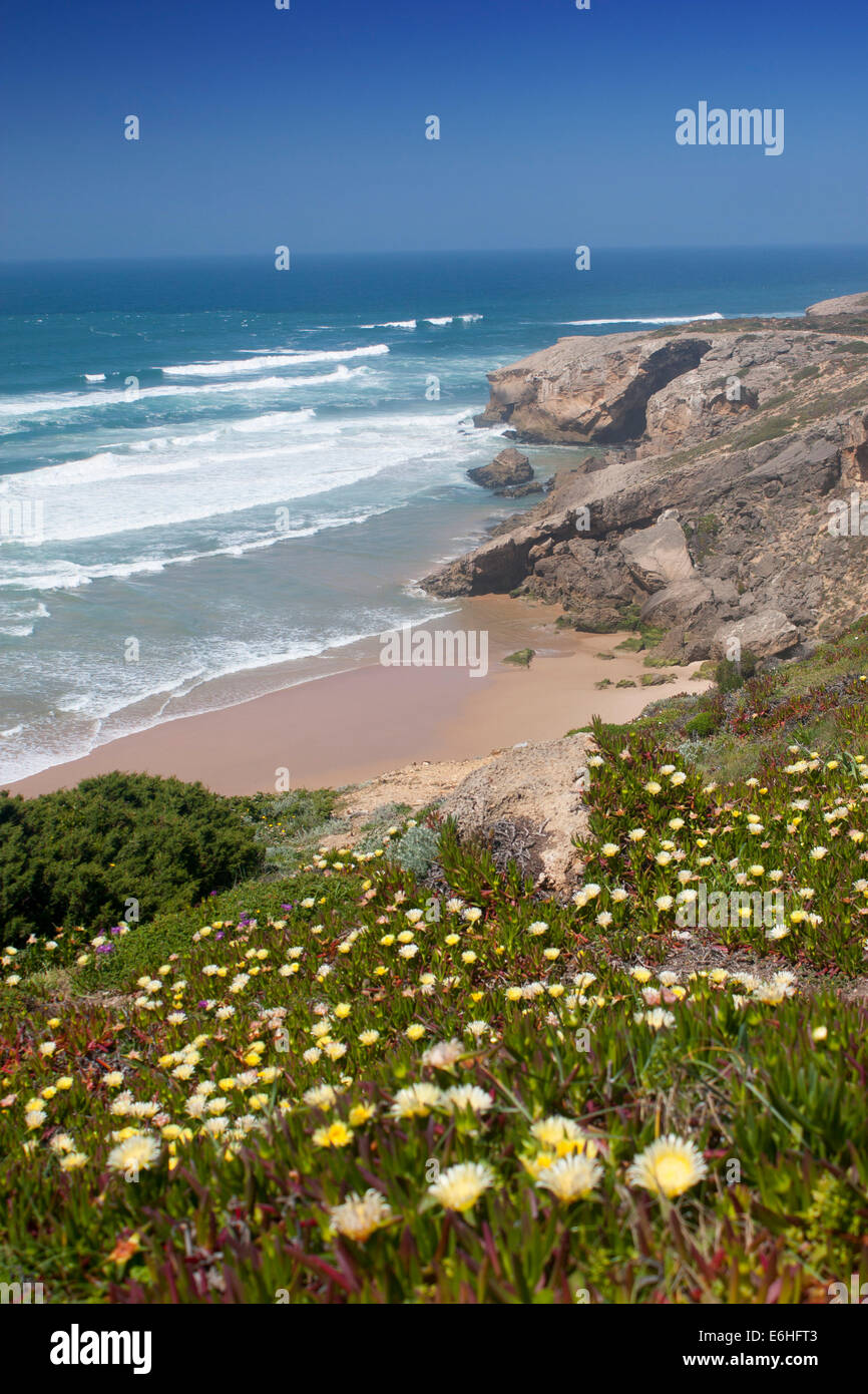 Beach near Monte Clerigo on Costa Vicentina with spring flowers Parque Natural da Costa Vicentina e Sudoeste Alentejano Portugal Stock Photo