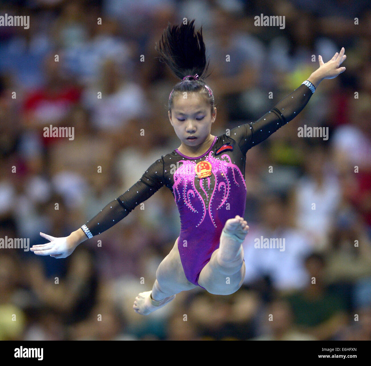 2019 year - Wang Yan 2019 year