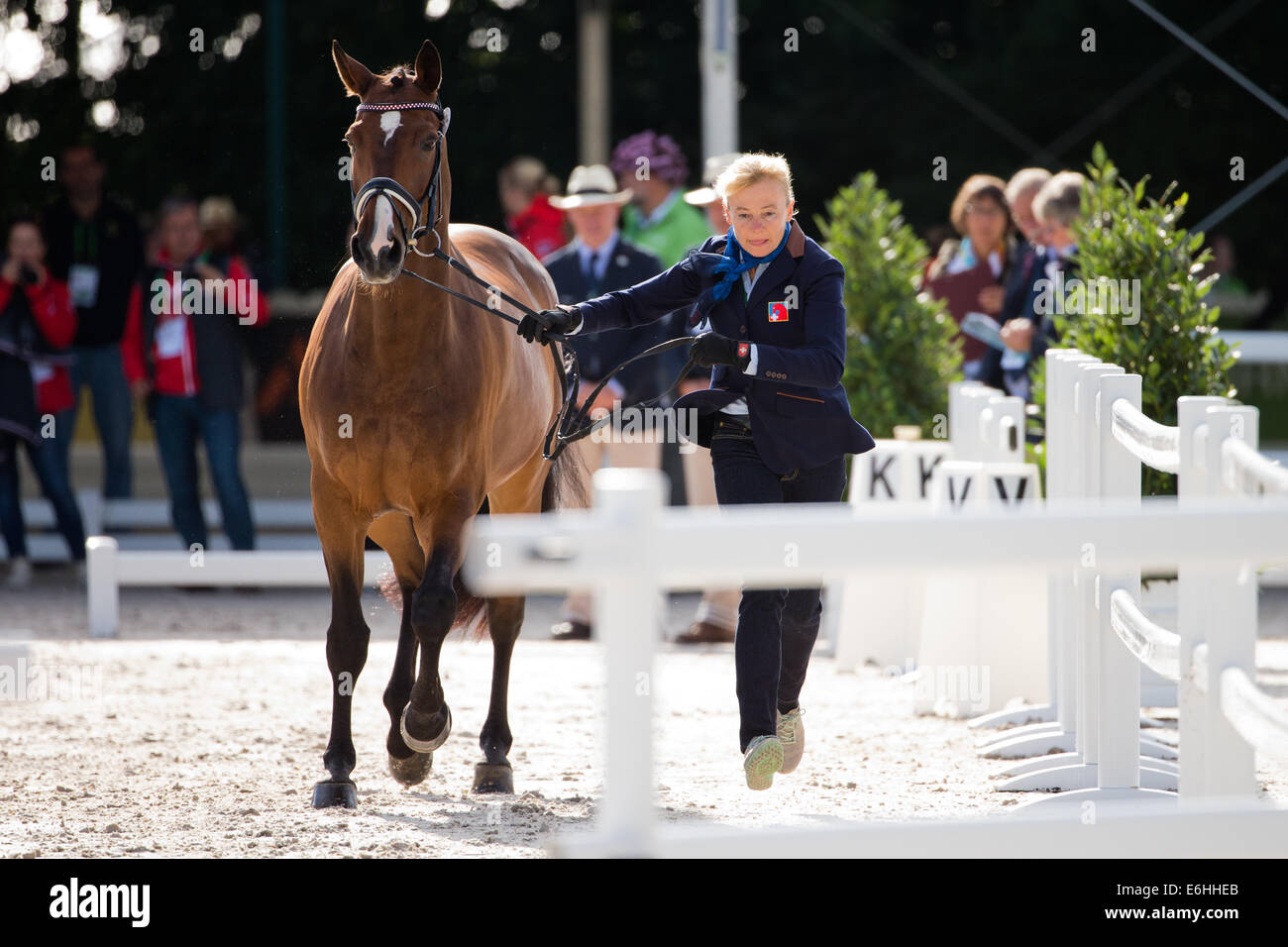 Caen, France. 24th Aug, 2014. Swiss dressage rider Marcela Krinke presents er horse 'Smeyers Molberg' during the World Equestrian Games 2014 veterinary check dressage in Caen, France, 24 August 2014. Photo: ROLF VENNENBERND/dpa/Alamy Live News Stock Photo