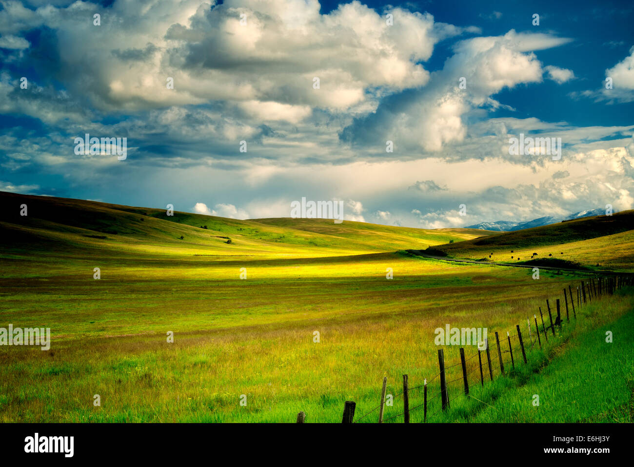 Pasture clouds and fence. Zumwalt Prairie Preserve, Oregon,cow,cows Stock Photo