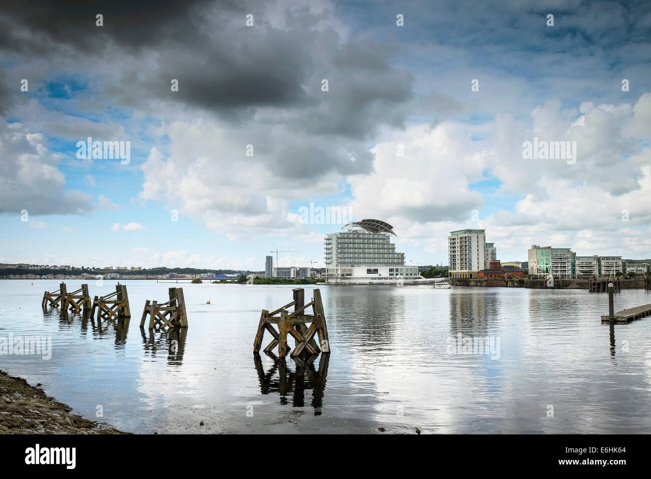 The remains of old wooden jetties in Cardiff Bay. Stock Photo