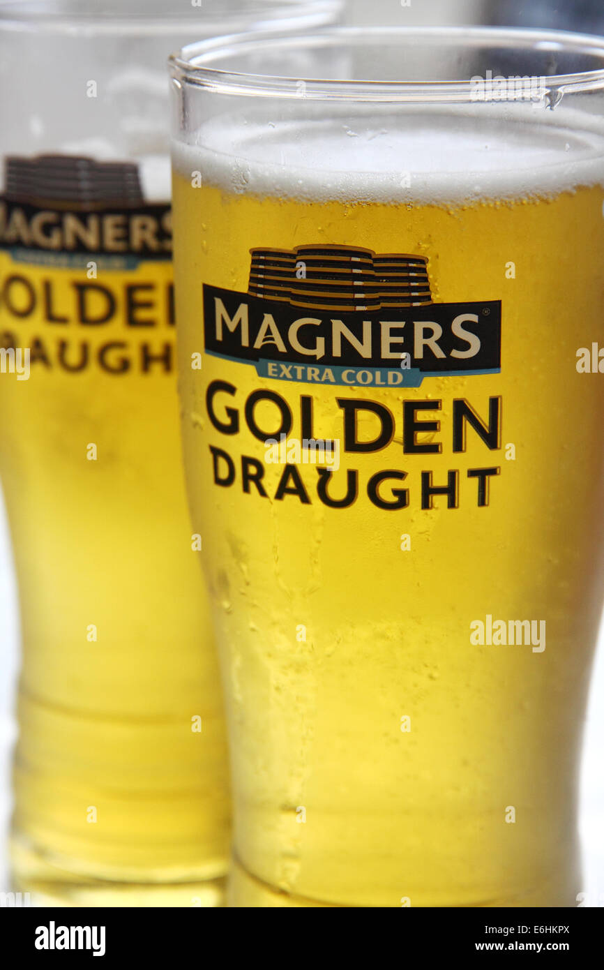 2 pints of Magner's Golden Draught cider Stock Photo Alamy