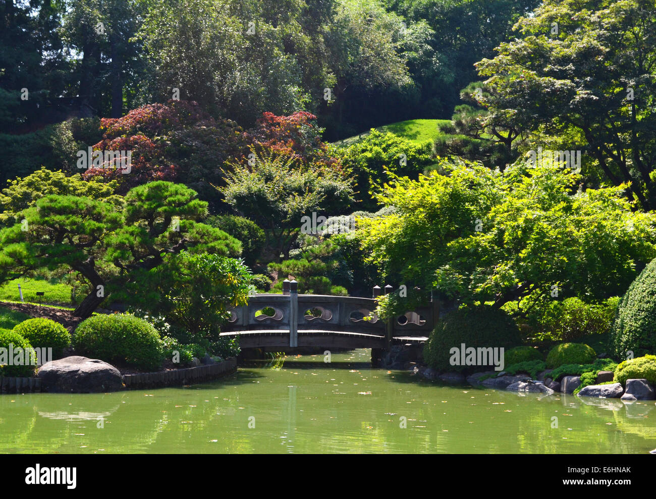 Beautiful Japanese garden Stock Photo