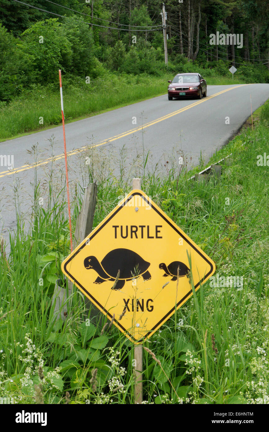 A turtle crossing point in Vermont, USA Stock Photo