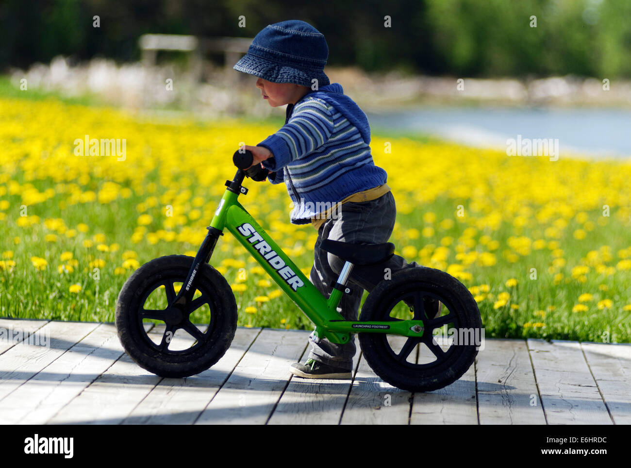 green strider bike