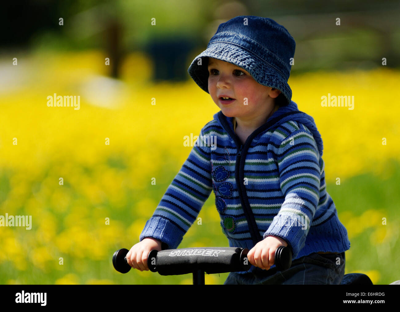 best strider bike for 2 year old