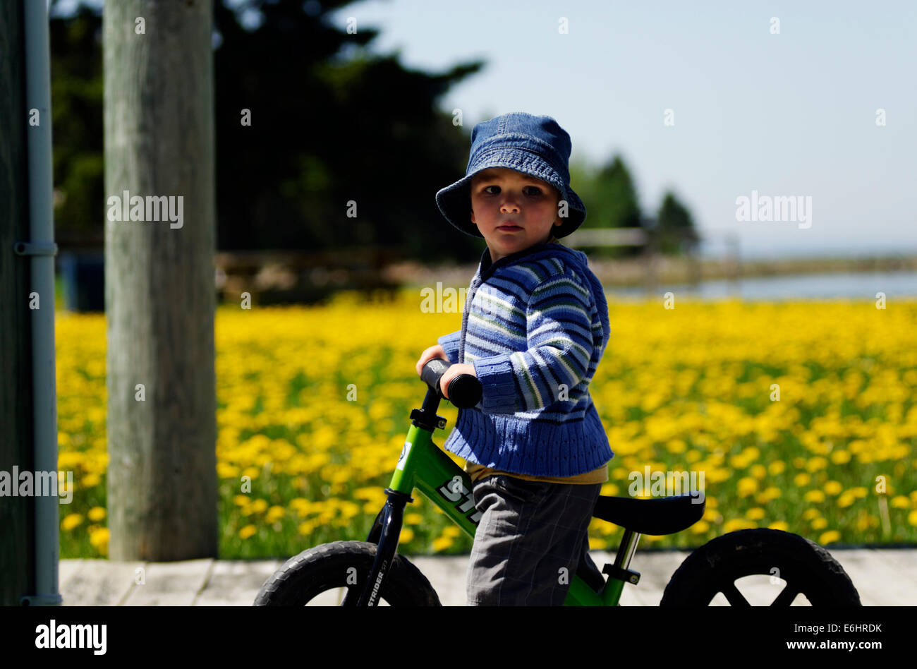 best strider bike for 2 year old