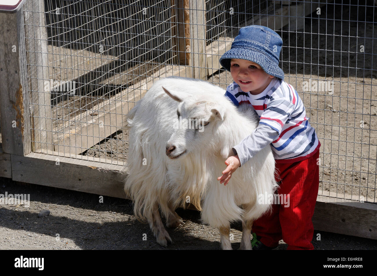 A beautiful young boy delightedly cuddling a goat on a petting farm Stock Photo