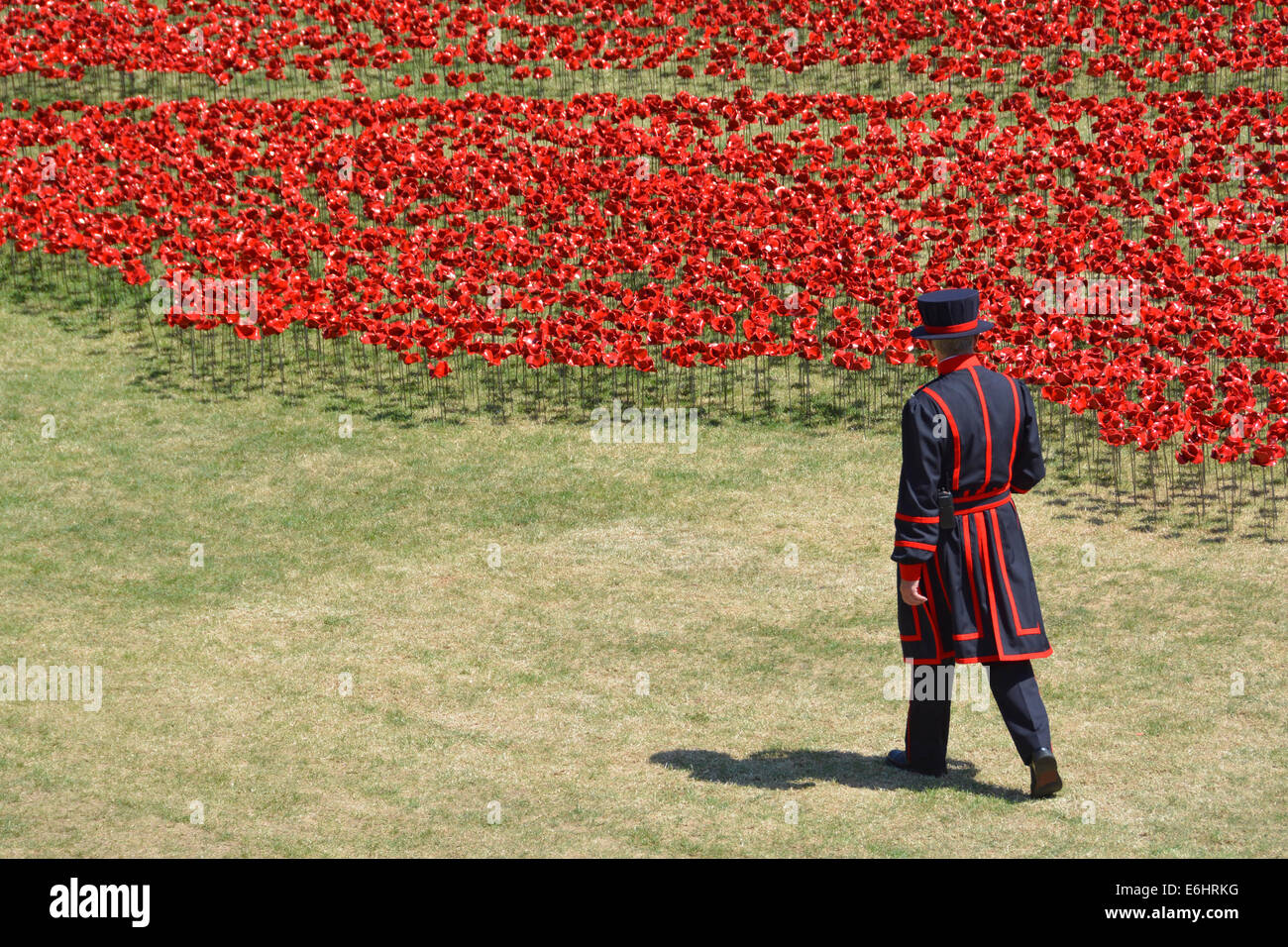 Yeoman Warder & field of Ceramic Poppies 'Blood swept lands & seas of red' World War 1 tribute in the dry moat at the Tower of London Tower Hamlets UK Stock Photo