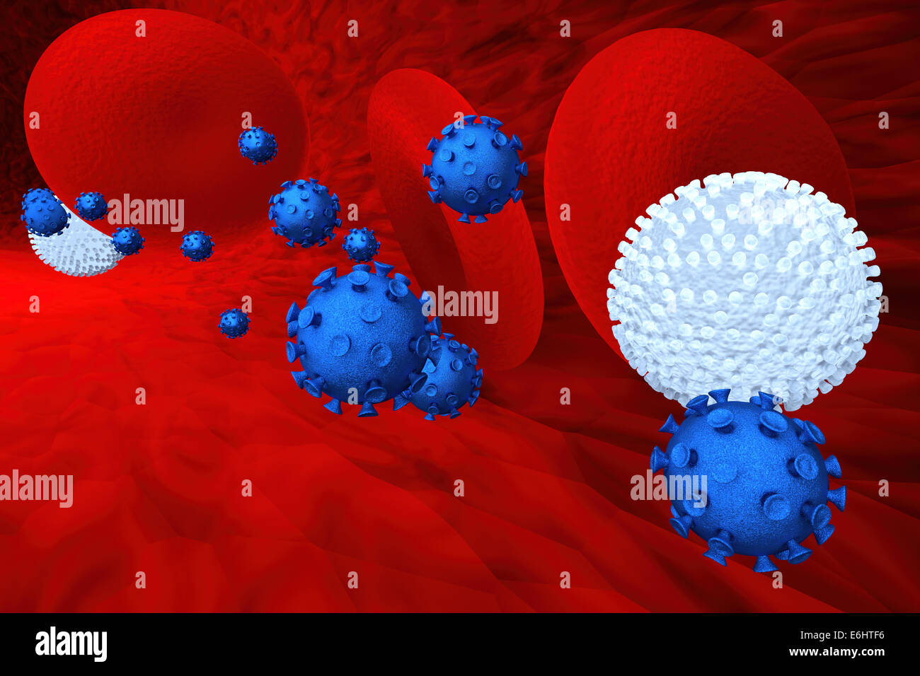 Blue blood cells hi-res stock photography and images - Alamy