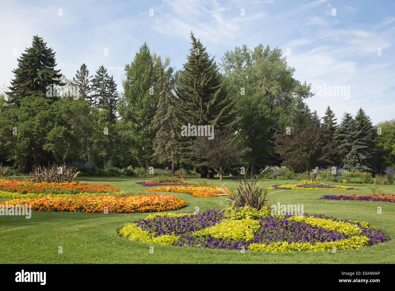 Calgary flowers hires stock photography and images Alamy